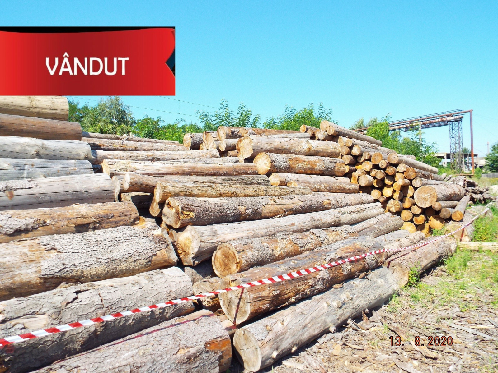 Material Lemnos: Lot 1 - 228,87 m3 lemn rotund esență rășinoasă, specia molid (a II-a licitatie)